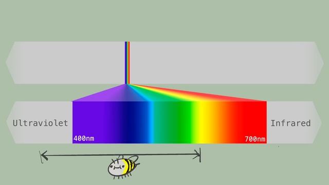 Infrared Photography Using a Raspberry Pi Camera Module 3 смотреть онлайн