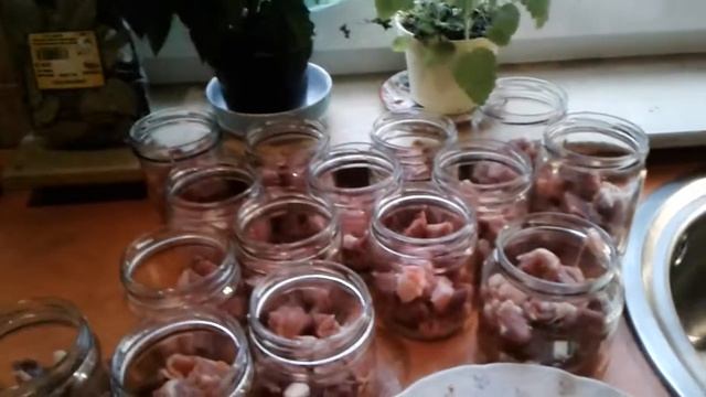 Анимационные Фильмы для Детей и Взрослых