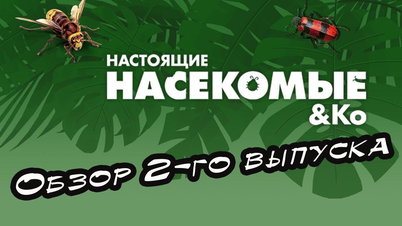 Настоящие насекомые и Ко | 2 выпуск | DeAgostini смотреть онлайн