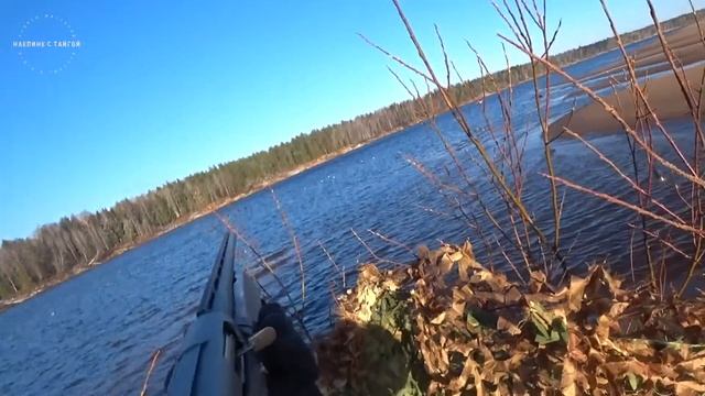 ⚡НЕ ПЕРВЫЙ ЛЕД! / НАБИЛИ УТКИ, ГУСЯ ПЕРЕД ЛЕДОСТАВОМ! / ОХОТА НА ОСЕННЕМ ПЕРЕЛЕТЕ смотреть онлайн