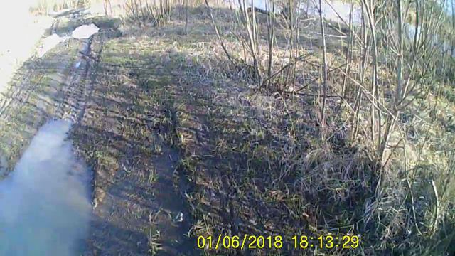 вело разлив рыбалка смотреть онлайн