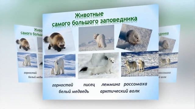 Мир заповедной природы смотреть онлайн