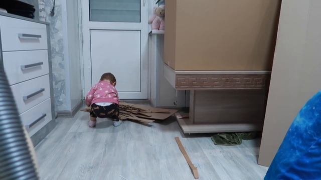 ОГРОМНАЯ КАРТОННАЯ ТЮРЬМА ДЛЯ КОТОВ И СОБАКИ СВОИМИ РУКАМИ смотреть онлайн