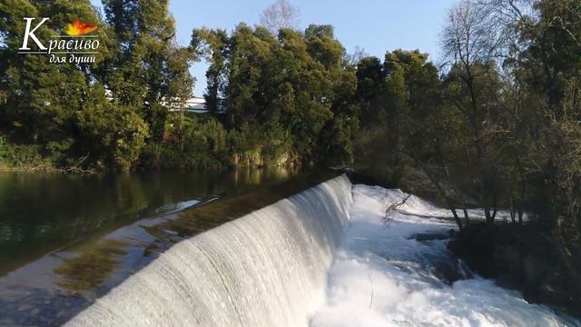 ВЕТЕР - Сергея Чекалина | Для вас с любовью!
