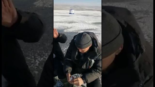 г.ТАРАЗ.ЗИМНЯЯ РЫБАЛКА. смотреть онлайн