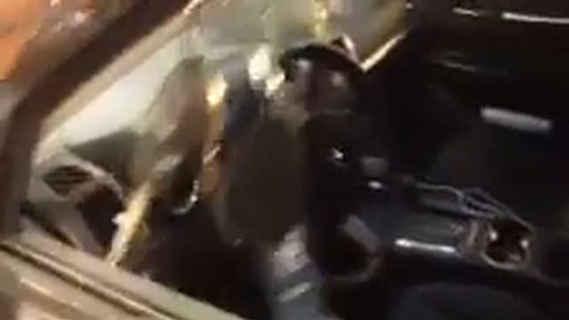 Dodge Charger viper 5305v viper remote start alarm pager pop trunk смотреть онлайн