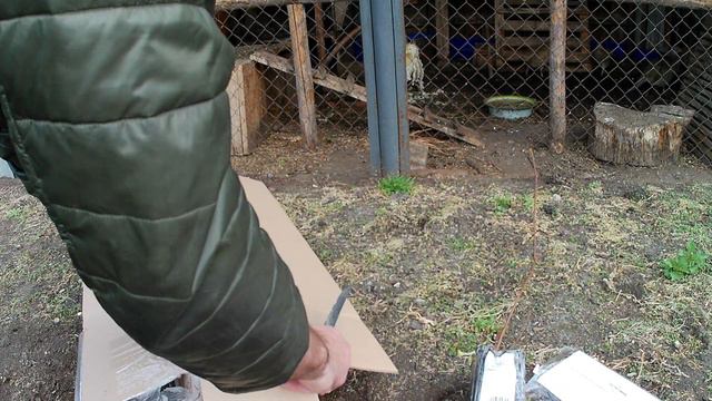 Обзор посылки с саженцами от ЗЛАТПИТОМНИК. Мой отзыв о интернет магазине ЗЛАТПИТОМНИК смотреть онлайн