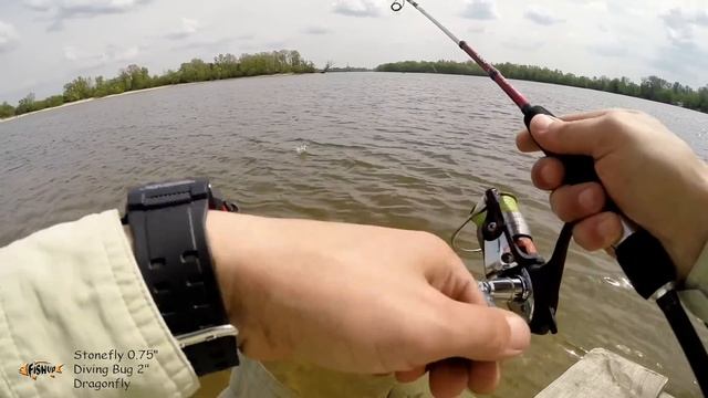 FishUp Lures. Diving Bug 2". Stonefly 0.75". Dragonfly. Ловля на Съедобный силикон. смотреть онлайн