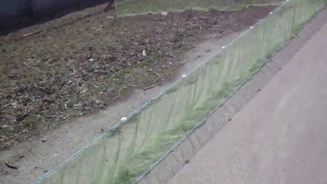 SDC13435 смотреть онлайн