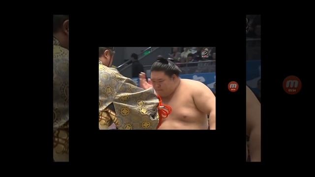 Термины сумо которые должны знать все смотреть онлайн