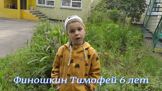 «Рыбка» А. А. Фета #страначитающая смотреть онлайн