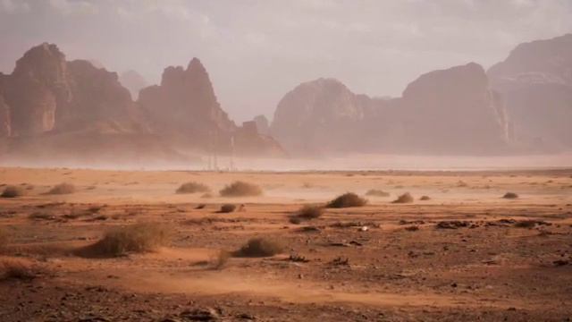 Digital Story смотреть онлайн