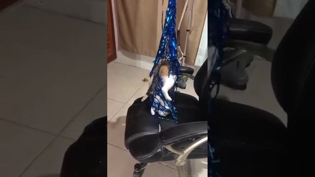 Может я снежинка?) смотреть онлайн