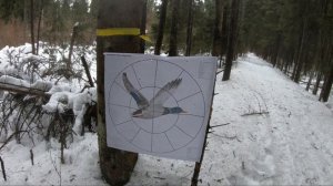 Отстрел дроби 0000 на 50 метров, самокрут порох Сокол, Драго.  МР155, чоки 0,5,-0,75.