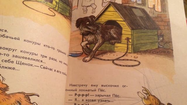 Читаем вслух вместе сказку Сутеева "Кто сказал МЯУ" смотреть онлайн