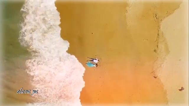 Песня БОМБА !! Взрыв Эмоций !! ХОЧУ В ШАЛАШ смотреть онлайн