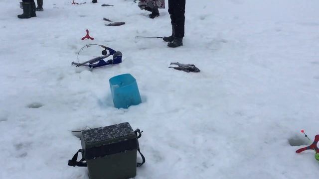 Ловля форели со льда. РК Фишка Липки. 16 февраля 2023 г. смотреть онлайн