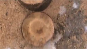 Champion 125T-10  Китайская портативная бензопила