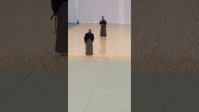 ???　１４-3　#KATA & #KUMITACHI　#HYOHO #TAI-SHA-RYUU #TAI: Big-Body-Wait-Fight-Thick SHA:Forget all TA смотреть онлайн