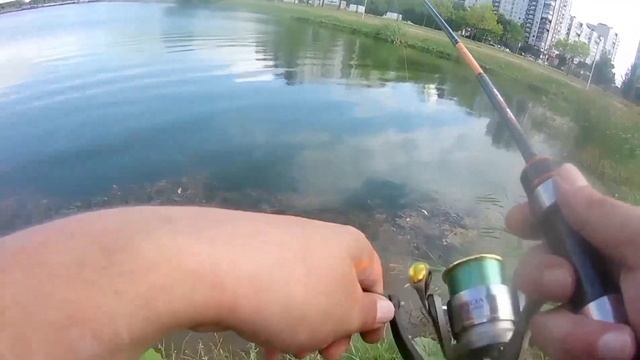 Санкт-Петербург рыбалка на окуня с Микроджигом! Mormo 2021 спиннинг metsyi tip top накормил уток ? смотреть онлайн
