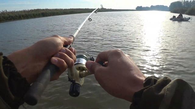 Рыбалка на Сазана в Астрахани, с Новой лодки-RiverBoat Navigator 31. 07.09.19. смотреть онлайн