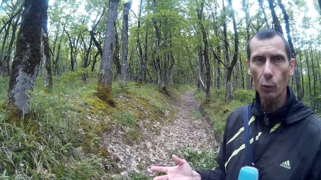 НИВА Я идиот или ВАЗ?-100% устранение вибраций. Почему не 3 опоры раздатки НИВЫ? Центровка раздатки смотреть онлайн