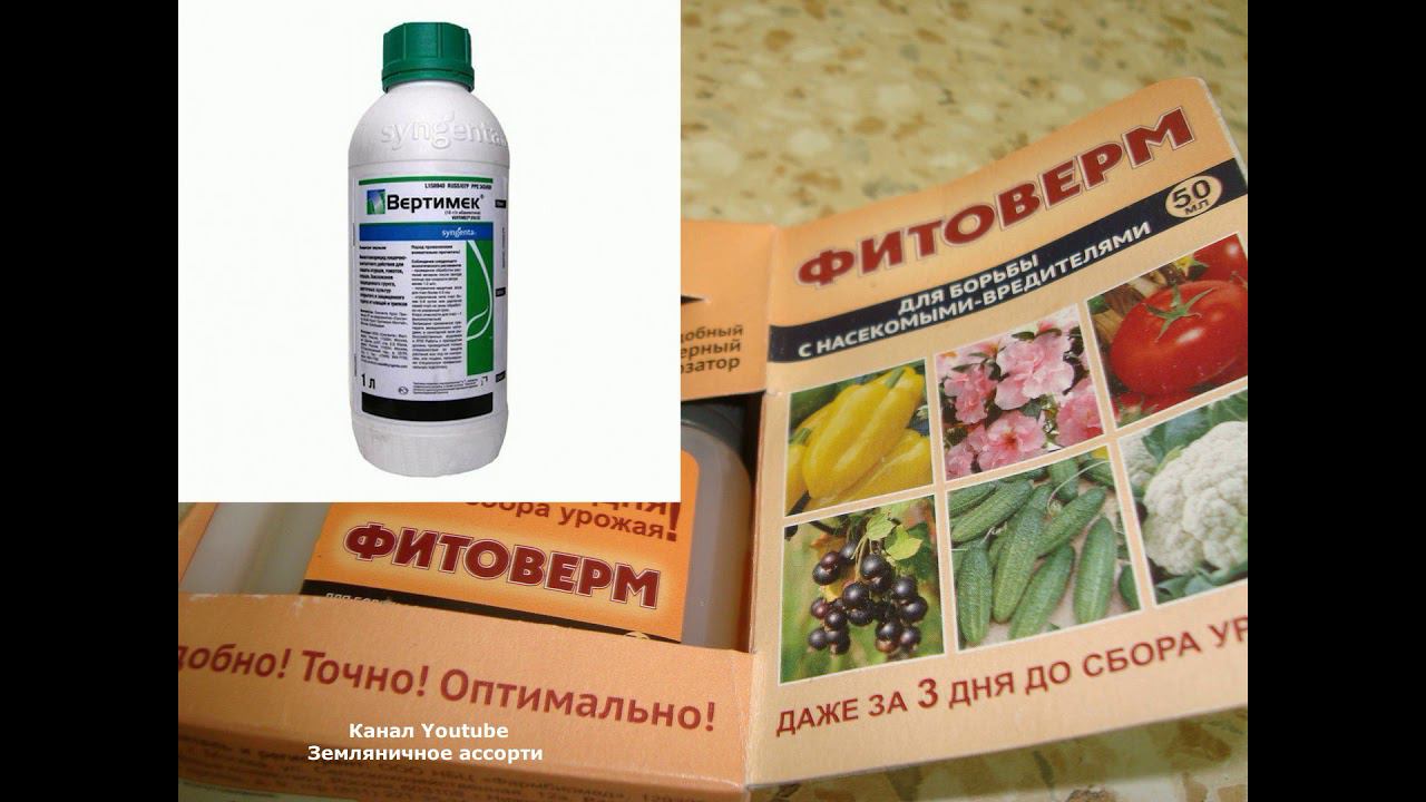 ВЕРТИМЕК И ФИТОВЕРМ ЭТО НЕ ОДНО И ТОЖЕ , БУДЬТЕ ВНИМАТЕЛЬНЕЙ смотреть онлайн