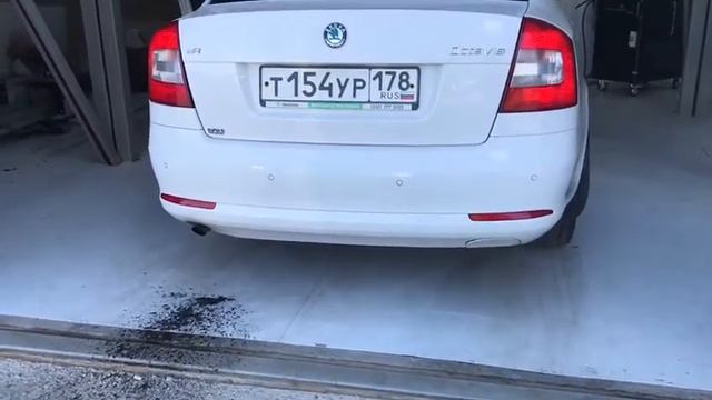 Шкода Октавия Водородная очистка двигателя в СПб смотреть онлайн
