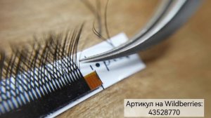 2Д готовые пучки. Y-тип. Скоростное наращивание ресниц. Секреты мастеров по наращиванию. Codelash