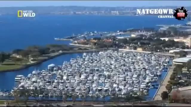 Самые опасные животные Нападения животных на людей смотреть онлайн