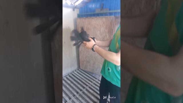 Выходной - я с голубями.01 смотреть онлайн