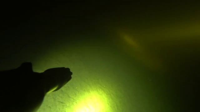 подводная охота на маныче, веселовское водохранилище. много судака. сентябрь 2021 смотреть онлайн