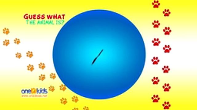 Guess What the Animal is? 3 (Zaky Game) смотреть онлайн