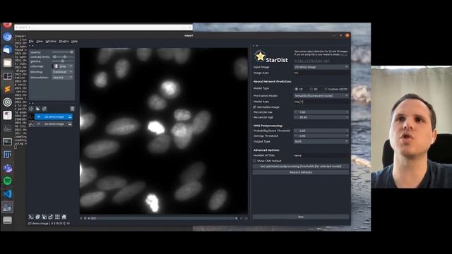 stardist - napari plugin demo and presentation смотреть онлайн