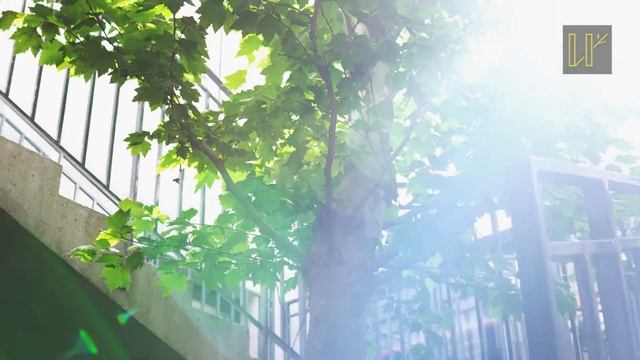 Измаильский экоквартал