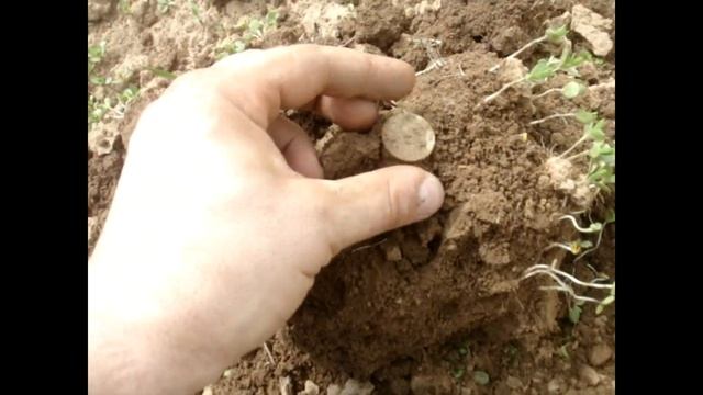По старине ---- Дорогобужский уезд. смотреть онлайн