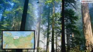 8 класс  Особо охраняемые природные территории России