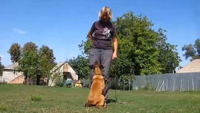 Kalina iz Komandy Azart 5 m смотреть онлайн