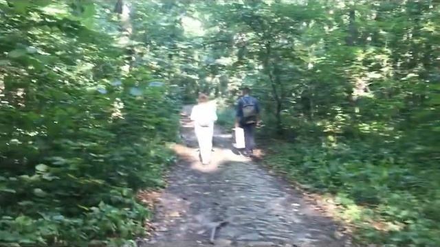 VLOG Гаврилова Поляна смотреть онлайн