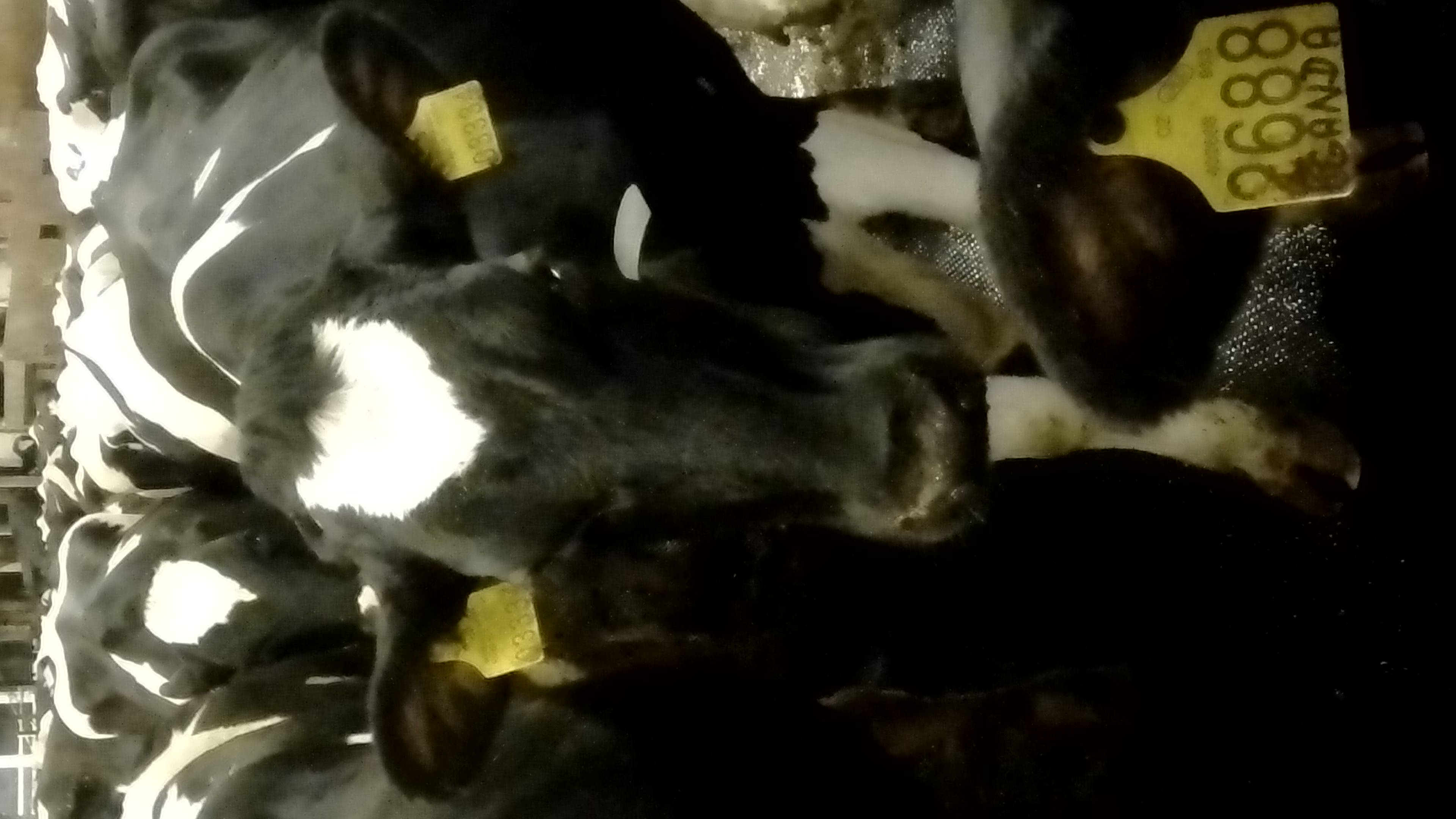 Экопродукт