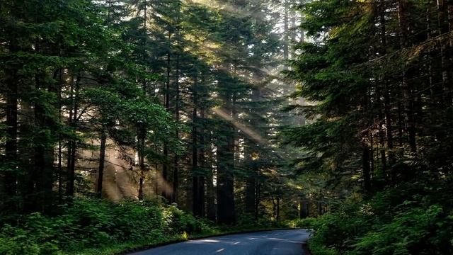 Релакс Музыка для Сна и Расслабления / Красивая Природа / Relax Music & Gray #18 смотреть онлайн