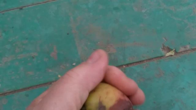 Удачный сезон урожая 2020 года!? смотреть онлайн
