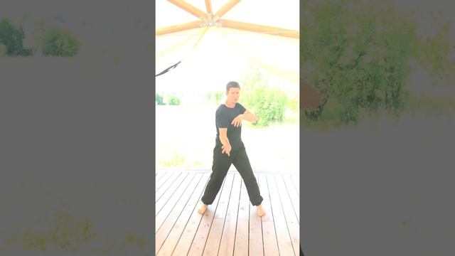 Цигун для жизни. Пробуждающая практика воинов от Александра Плаксина. смотреть онлайн