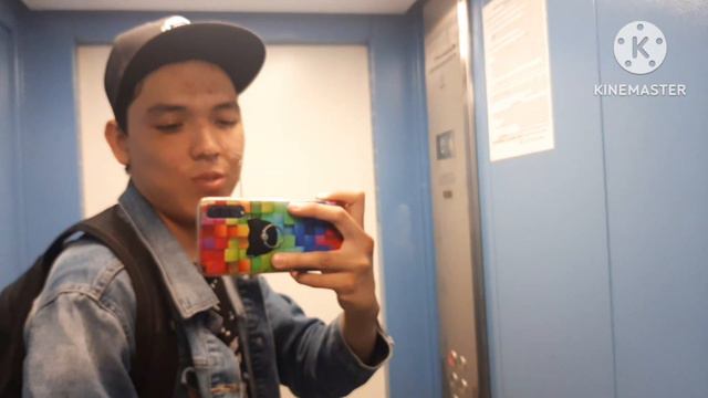 Музыкальные лифты Евролифтмаш (ELM)-(QUEEN) (ЛП-0401-C STYLE) 2023 г. V=1 м/с, Q=400 кг (235)