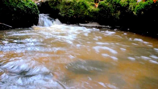 Fujifilm x-pro1 video-recording testsample смотреть онлайн