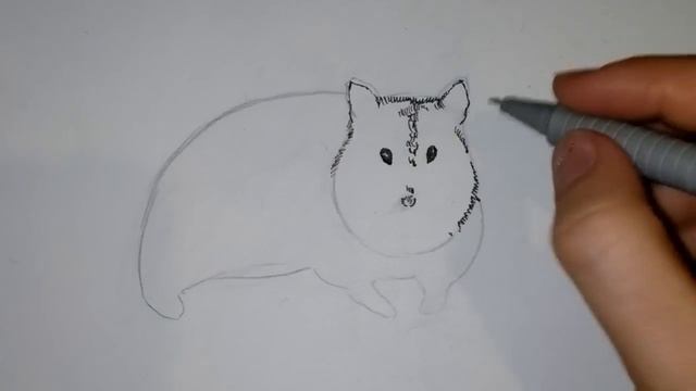 Как нарисовать хомяка! Рисуем милого хомячка! джунгарский хомяк смотреть онлайн