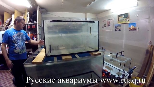 Нам подарили большое домашнее аквахозяйство смотреть онлайн