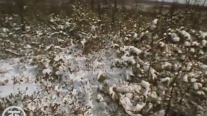 Варлам Шаламов."Несколько моих жизней".