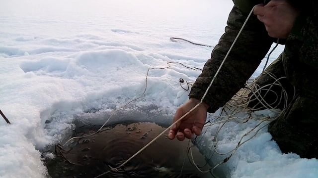 Проверка перемета на налима смотреть онлайн