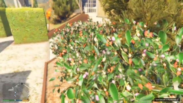 Я ПРЯМИКОМ НА МАЛЕНЬКАЯ МАШИНКЕ СПРЯТАЛСЯ В ЛАБИРИНТЕ! - ПРЯТКИ НА МИНИ МАШИНКАХ В ГТА 5 ОНЛАЙН